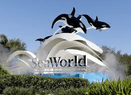 SeaWorld Orlando — theme parks in Orlando