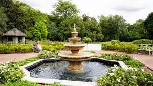 A small garden fountain surrounded by flowers at Leu Gardens