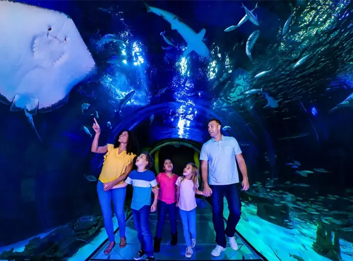 A family in the SEA LIFE Orlando aquarium tunnel