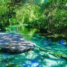 Kelly Park - Rock Springs