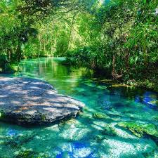 Kelly Park - Rock Springs